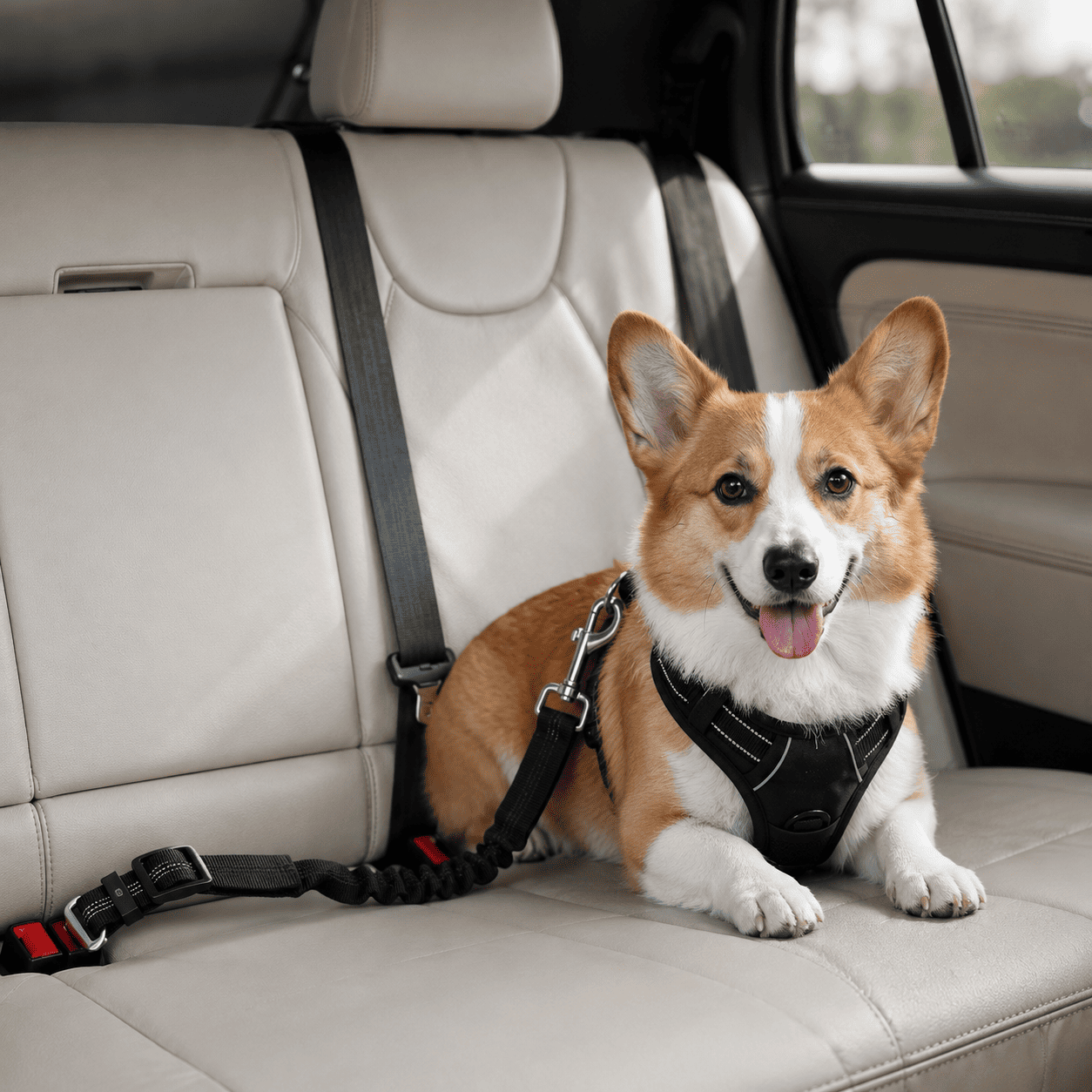 The SecureDrive: Adjustable Pet Seat Belt