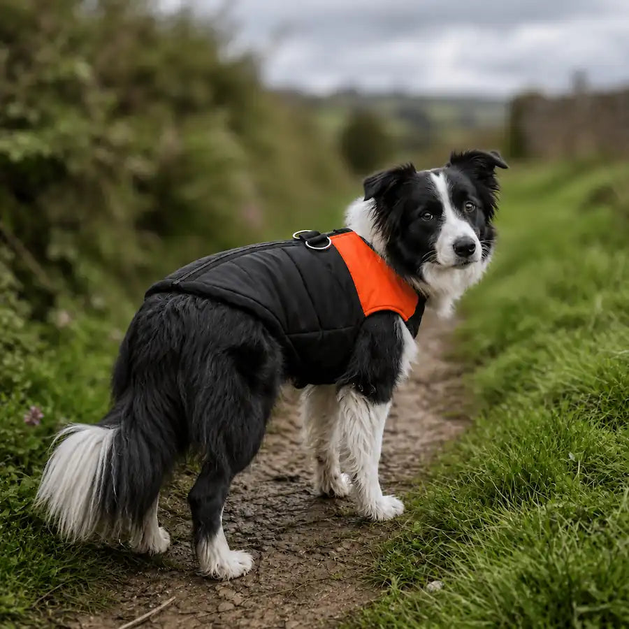 The Alpine Pro Puffer Vest with Built-In Harness