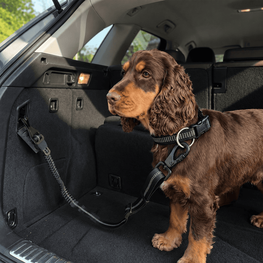 The TitanDrive: Heavy-Duty Shock-Absorbing Car Restraint