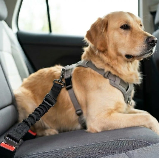 The TitanDrive: Heavy-Duty Shock-Absorbing Car Restraint