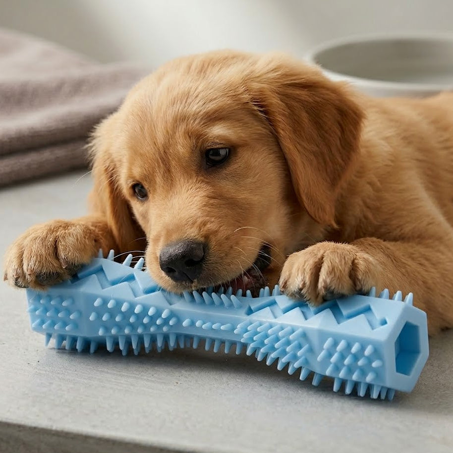 The FreshBite: Orthodontic Dental Bone & Chew